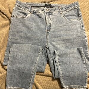 Universal Standard Seine High Rise Skinny Jeans - Size 18
Color: Light Blue Wash